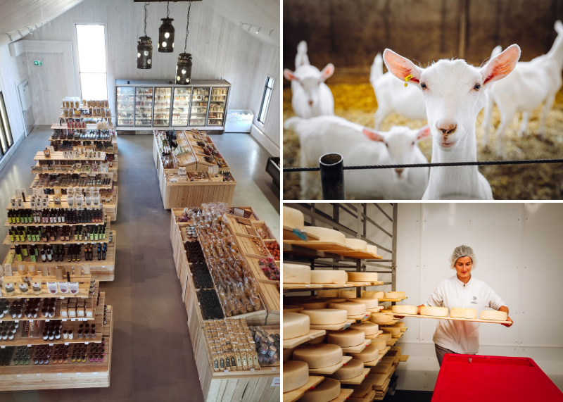 Suisse Normande fromagerie