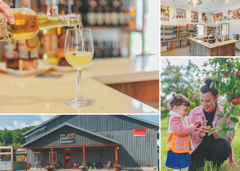 Qui sème récolte verger cidre