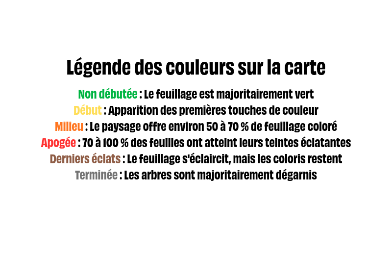échelle de couleurs