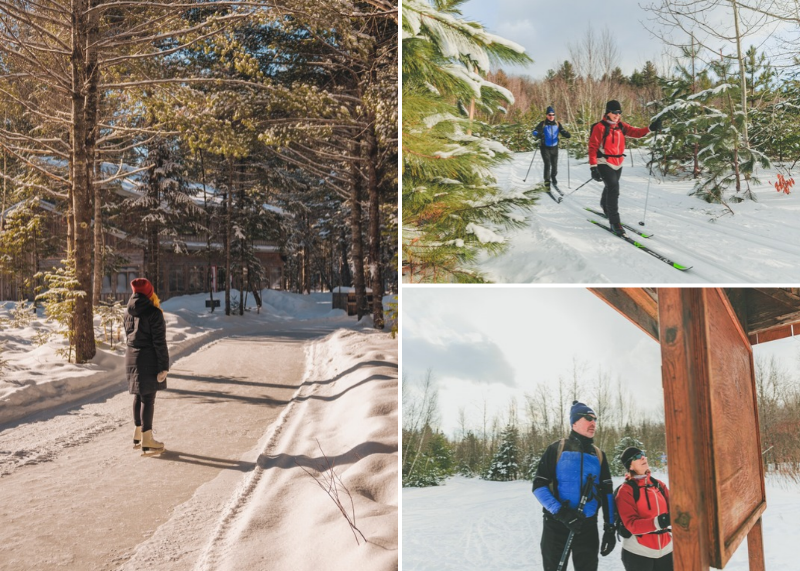 tournée des cantons en ski de fond et femme en patin forêt O Cascades