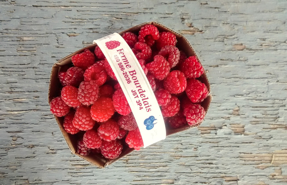 Panier de framboises, Ferme Bourdelais